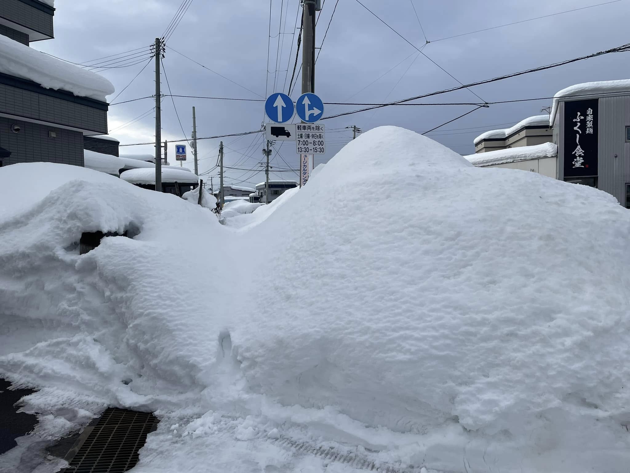 青森市内の雪害の状況 - 衆議院議員 津島淳オフィシャルサイト